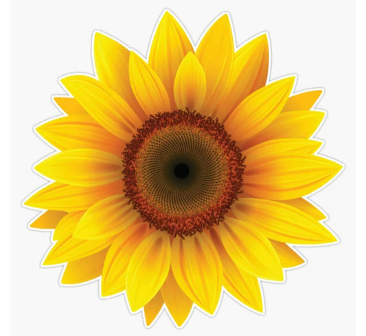 $150 Sunflower Package ($200 Value)